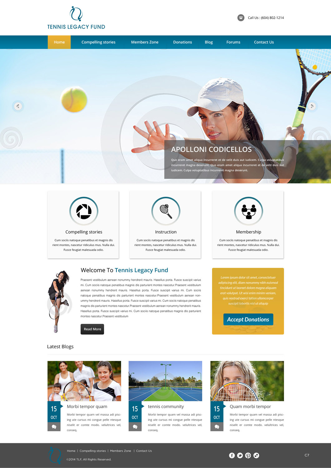 Diseño Wordpress por pb para este proyecto | Diseño #3631659