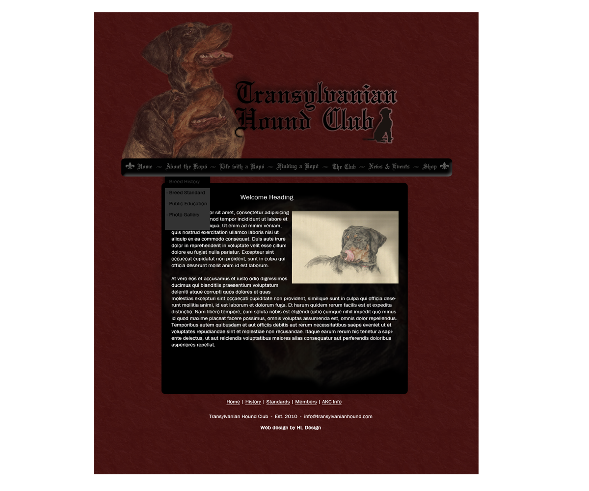 Web-Design von HLDesign für S.T.I.L. Consulting | Design #3700187