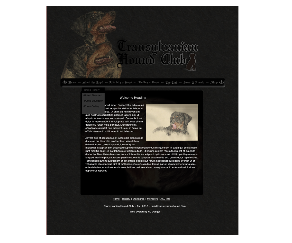 Web Design by HLDesign for S.T.I.L. Consulting | Design #3704530
