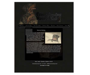 Web Design by HLDesign for S.T.I.L. Consulting | Design: #3704530