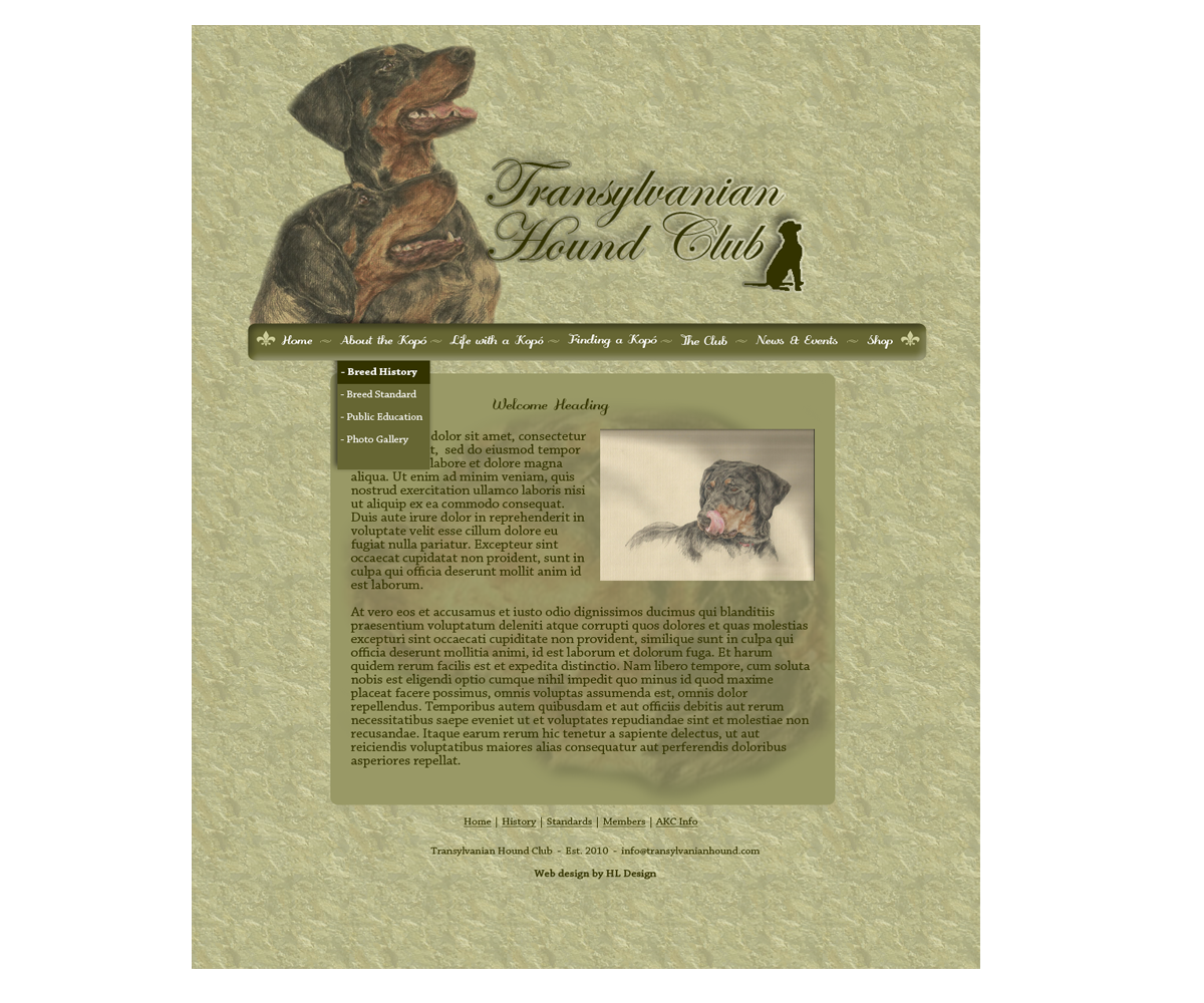 Web Design by HLDesign for S.T.I.L. Consulting | Design #3744920