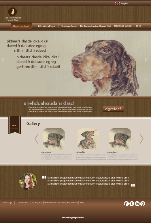 Web Design by Anton for S.T.I.L. Consulting | Design #3651472