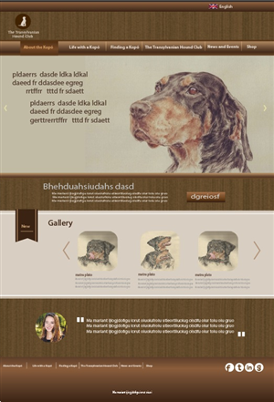 Web Design by Anton for S.T.I.L. Consulting | Design: #3651472