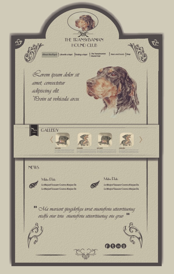 Web Design by Anton for S.T.I.L. Consulting | Design #3689360