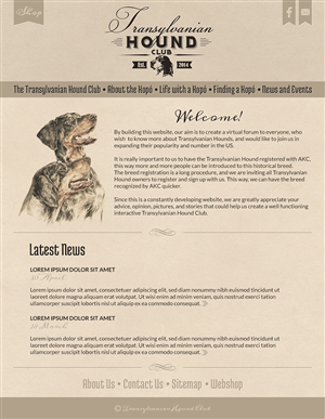 Web Design par karolin pour S.T.I.L. Consulting | Design : #3658134