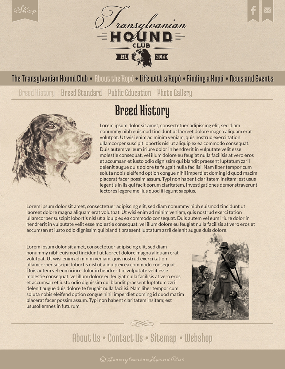 Web Design by karolin for S.T.I.L. Consulting | Design #3658136