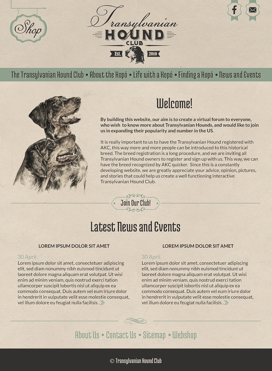 Web Design par karolin pour S.T.I.L. Consulting | Design #3677507