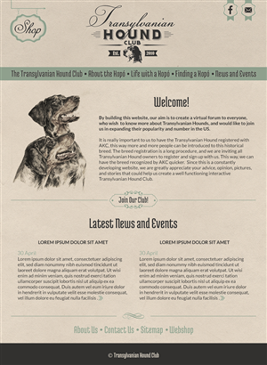 Web Design par karolin pour S.T.I.L. Consulting | Design : #3677507