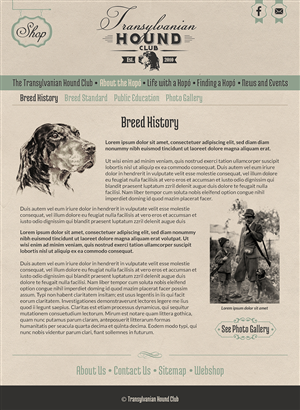 Web Design par karolin pour S.T.I.L. Consulting | Design : #3677510