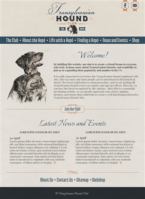 Web Design par karolin pour S.T.I.L. Consulting | Design : #3769496