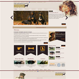 Web Design by designbox