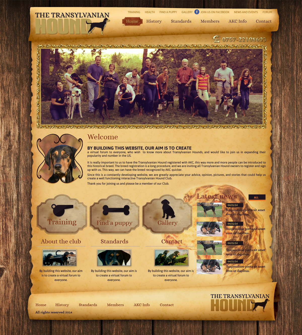 Web Design par designbox pour S.T.I.L. Consulting | Design #3682483