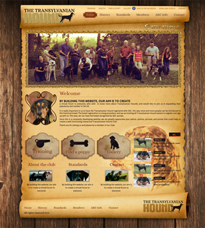 Web Design par designbox pour S.T.I.L. Consulting | Design #3682483
