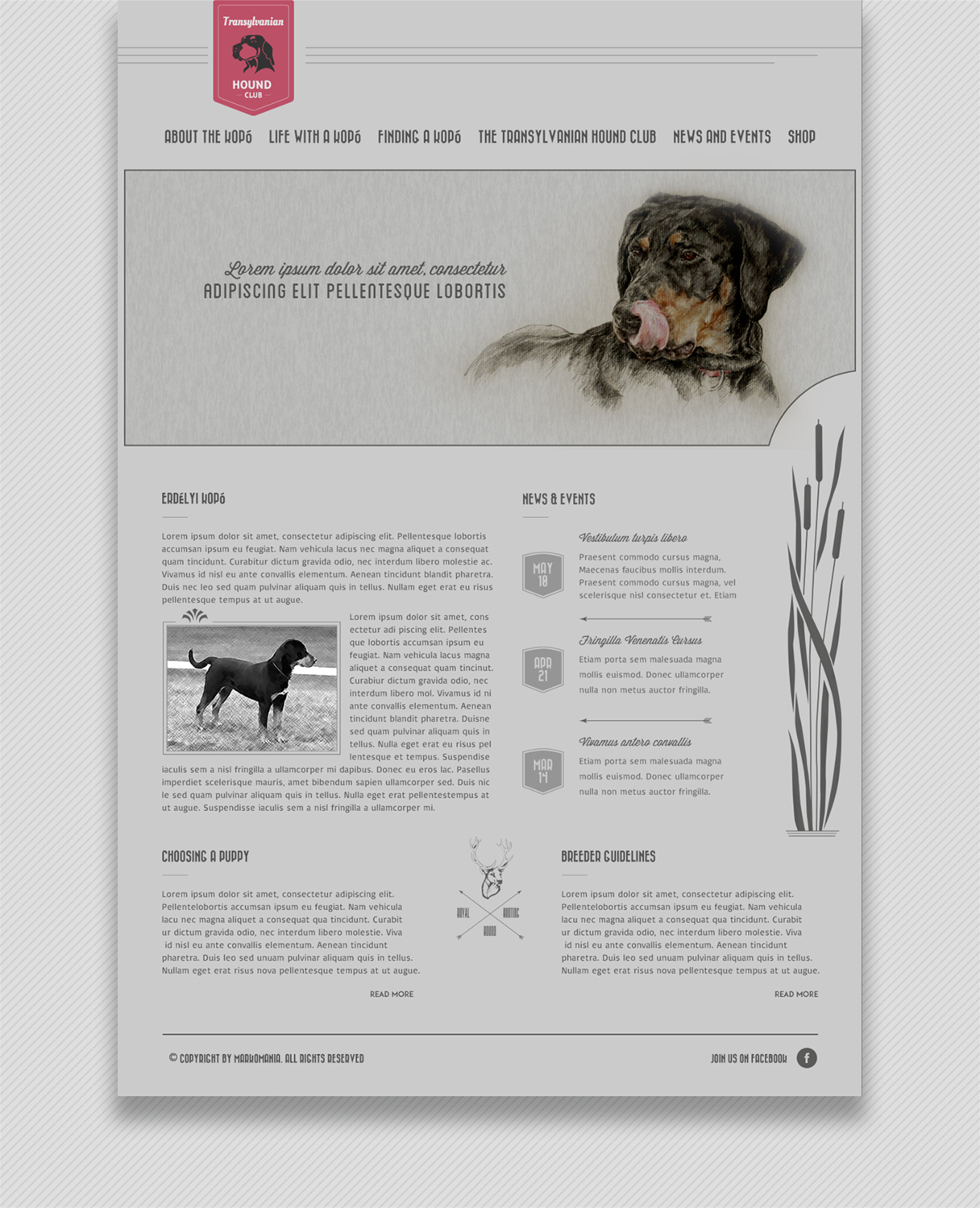 Web Design by markomania for S.T.I.L. Consulting | Design #3845726