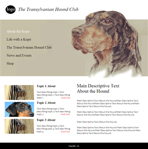 Web Design by coa for S.T.I.L. Consulting | Design: #3746134