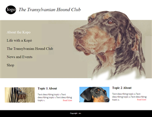 Web Design by coa for S.T.I.L. Consulting | Design: #3746156