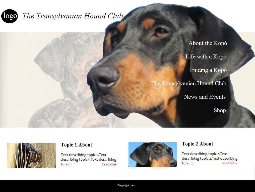 Web-Design von coa für S.T.I.L. Consulting | Design #3746223