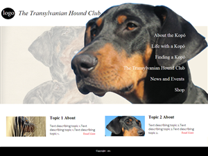 Web Design by coa for S.T.I.L. Consulting | Design: #3746223