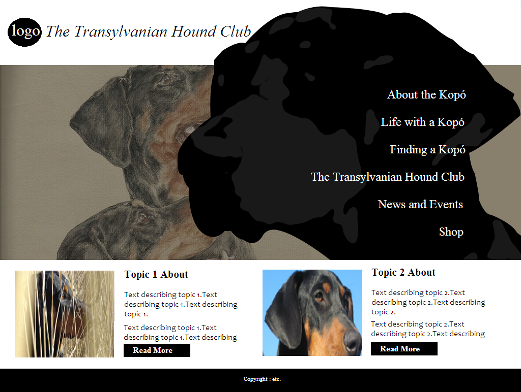 Web Design by coa for S.T.I.L. Consulting | Design #3747056