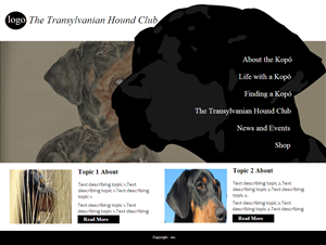 Web Design by coa for S.T.I.L. Consulting | Design: #3747056