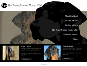 Web Design by coa for S.T.I.L. Consulting | Design: #3747421