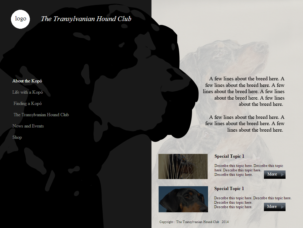 Web Design by coa for S.T.I.L. Consulting | Design #3747432