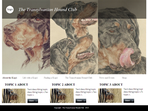 Web Design by coa for S.T.I.L. Consulting | Design: #3750745