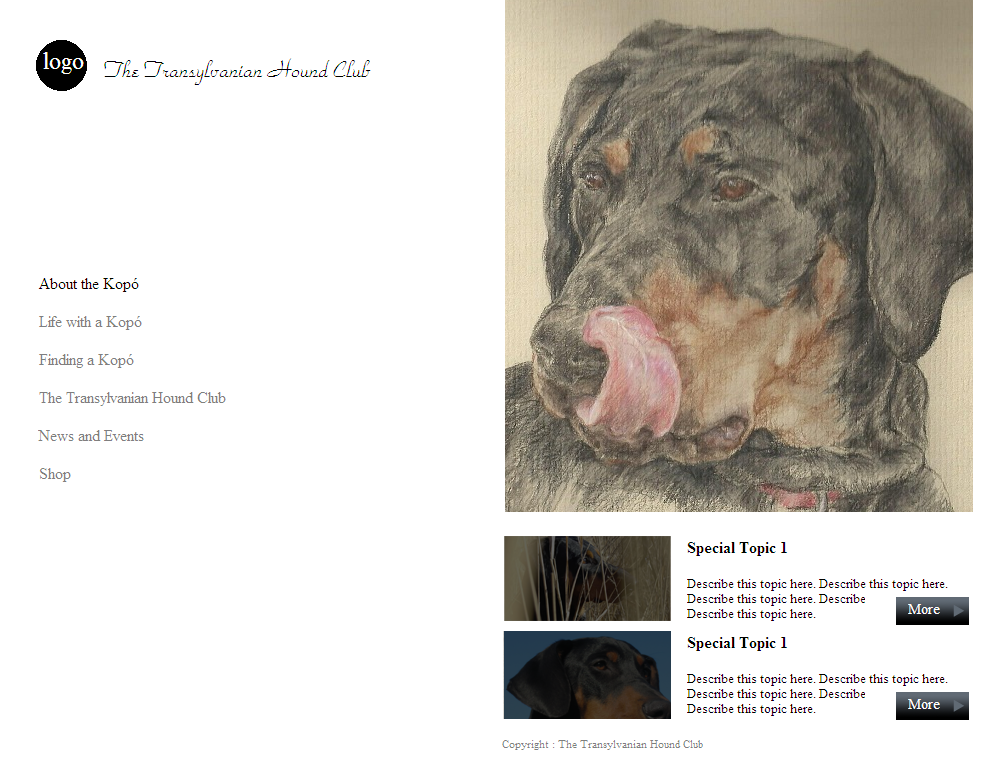 Web Design by coa for S.T.I.L. Consulting | Design #3750832