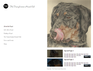 Web Design by coa for S.T.I.L. Consulting | Design: #3750832