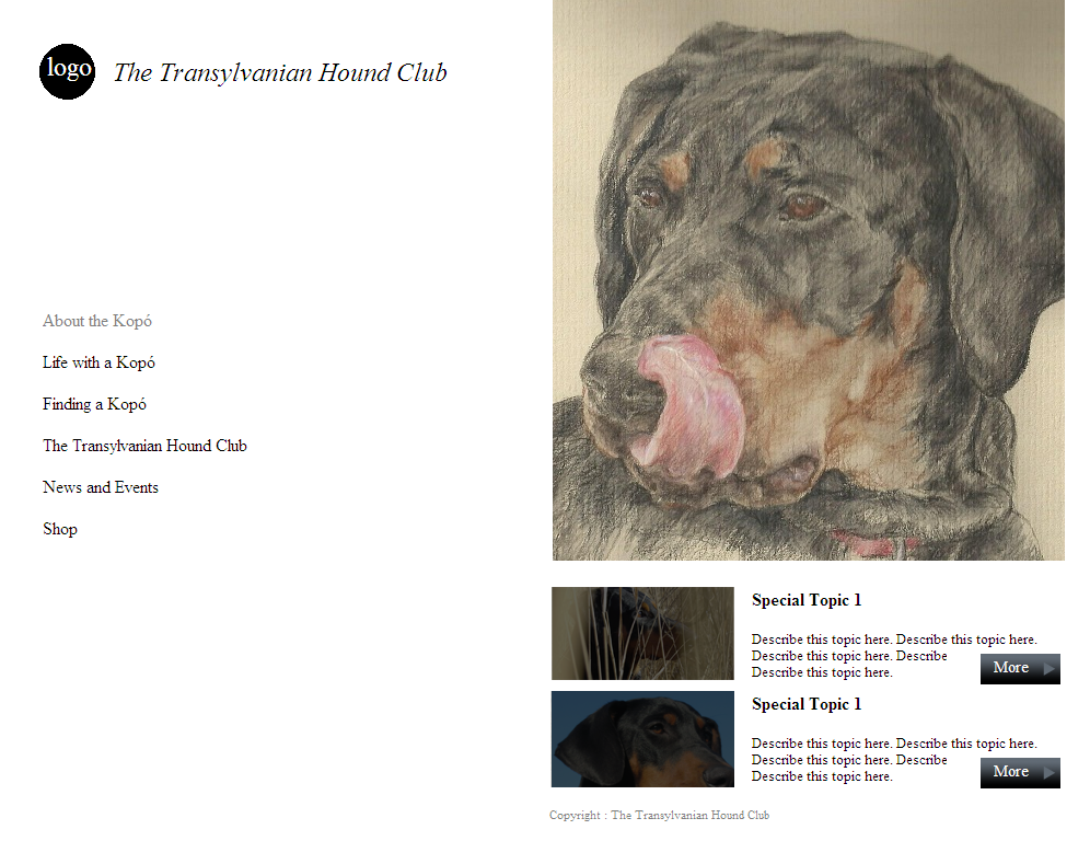 Web Design by coa for S.T.I.L. Consulting | Design #3750854