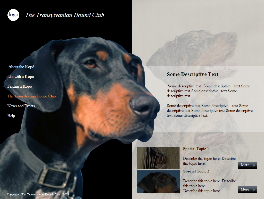 Web-Design von coa für S.T.I.L. Consulting | Design #3751601