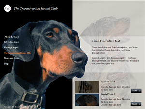 Web Design by coa for S.T.I.L. Consulting | Design: #3751601