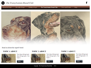 Web Design by coa for S.T.I.L. Consulting | Design: #3752220