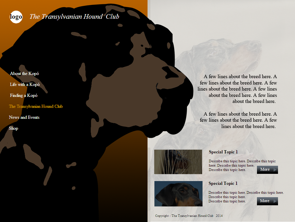 Web Design by coa for S.T.I.L. Consulting | Design #3752230