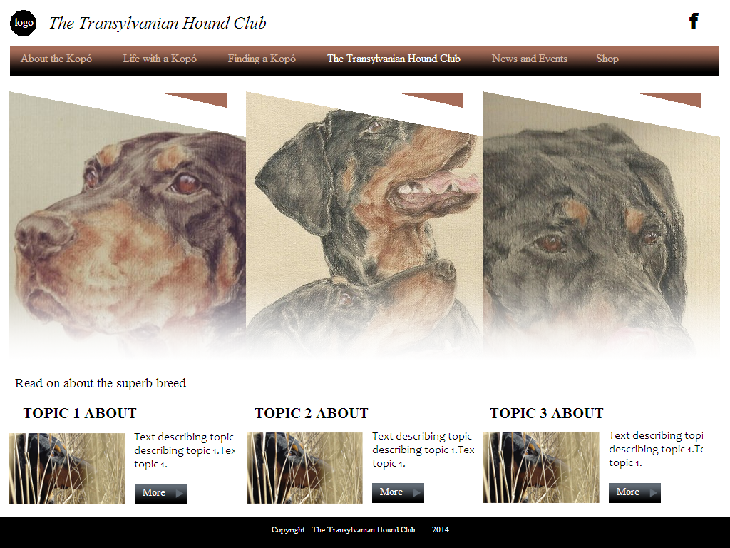 Web Design by coa for S.T.I.L. Consulting | Design #3757589