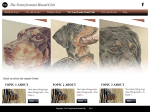 Web Design by coa for S.T.I.L. Consulting | Design: #3757589