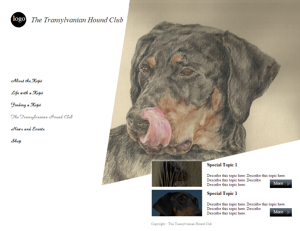 Web Design by coa for S.T.I.L. Consulting | Design #3757978