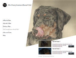 Web Design by coa for S.T.I.L. Consulting | Design: #3757978