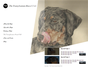Web Design by coa for S.T.I.L. Consulting | Design: #3757990
