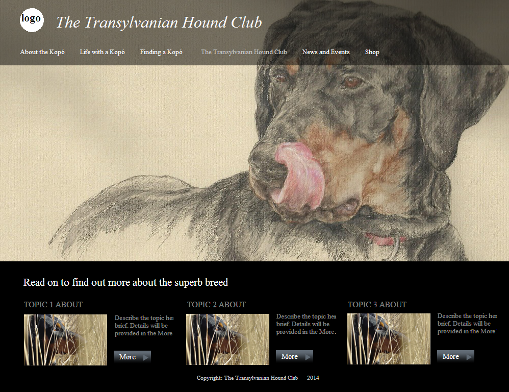 Web-Design von coa für S.T.I.L. Consulting | Design #3758385