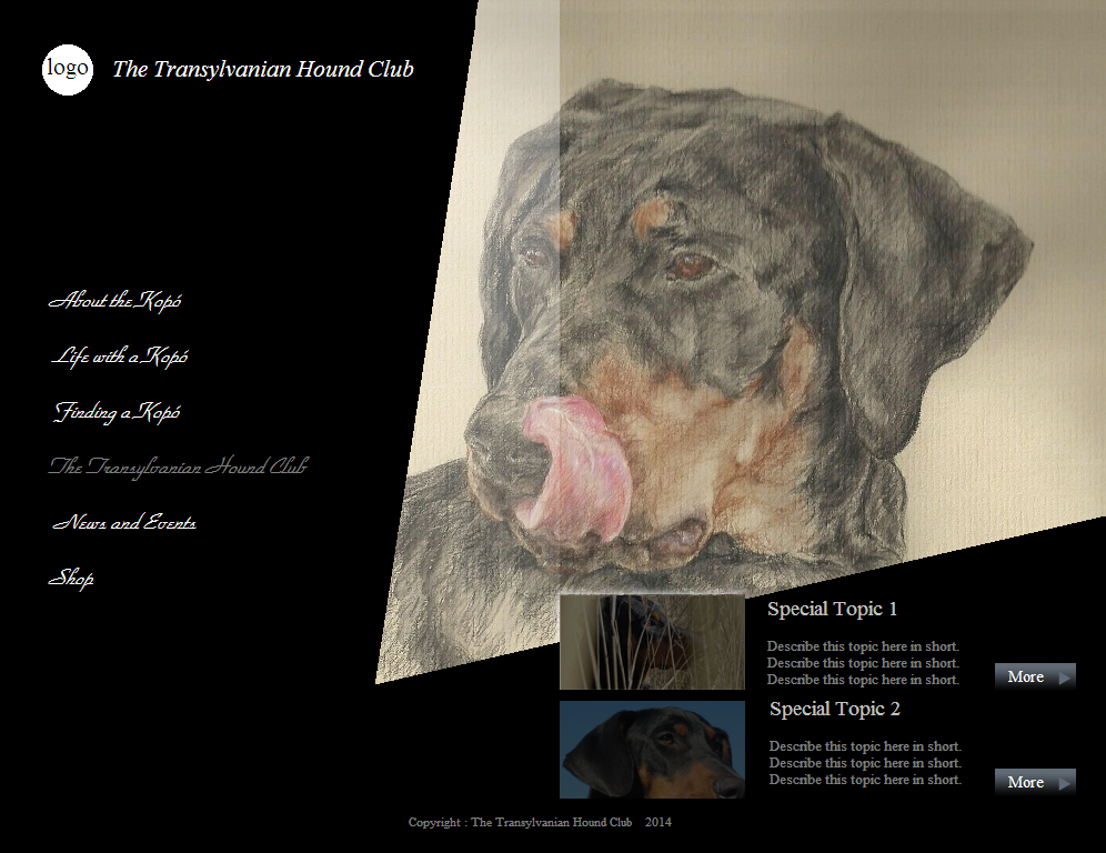 Web Design by coa for S.T.I.L. Consulting | Design #3758574