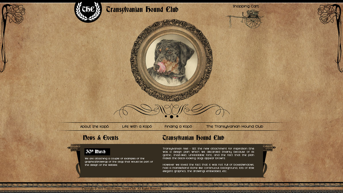 Web Design by M K G for S.T.I.L. Consulting | Design #3668530