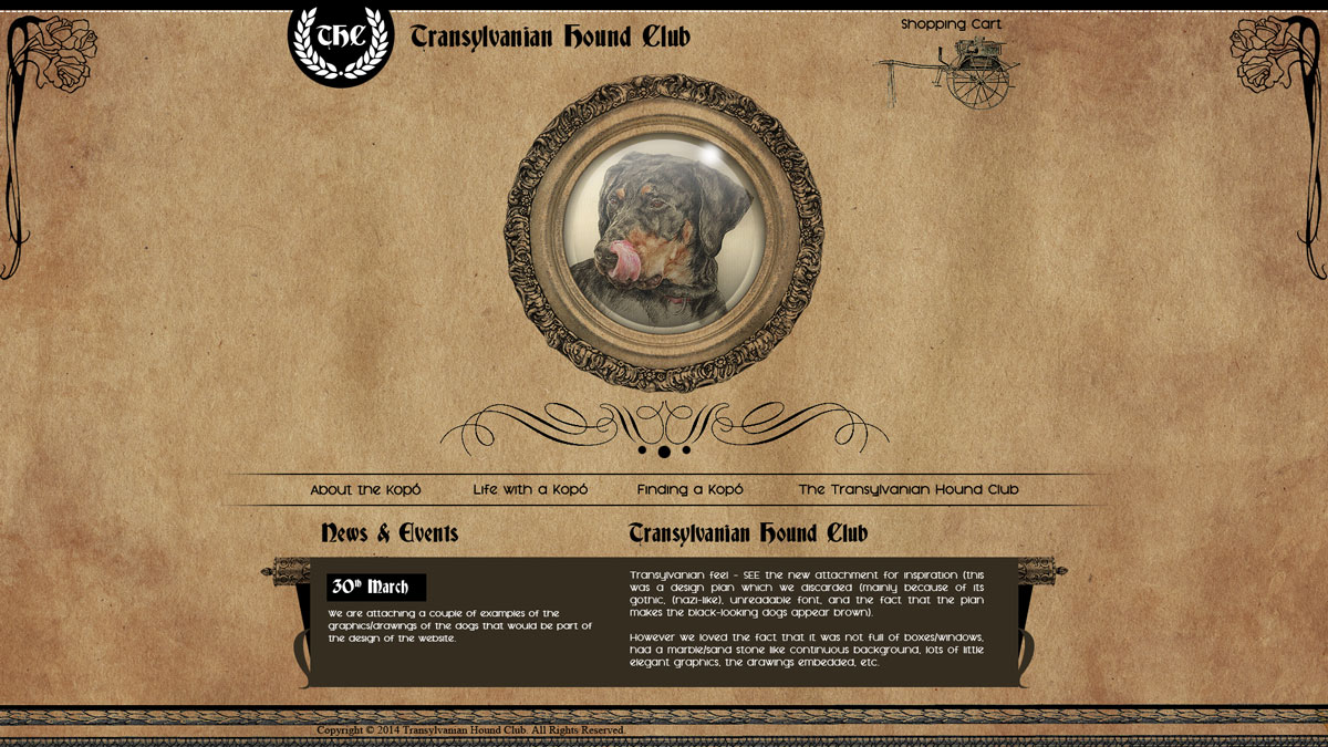 Web Design by M K G for S.T.I.L. Consulting | Design #3668560