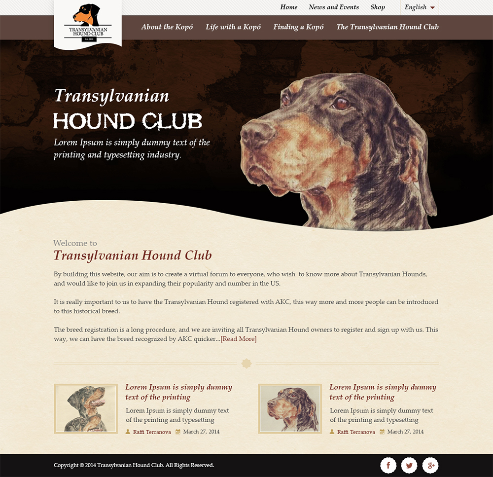 Web Design by Mayank Patel for S.T.I.L. Consulting | Design #3675009