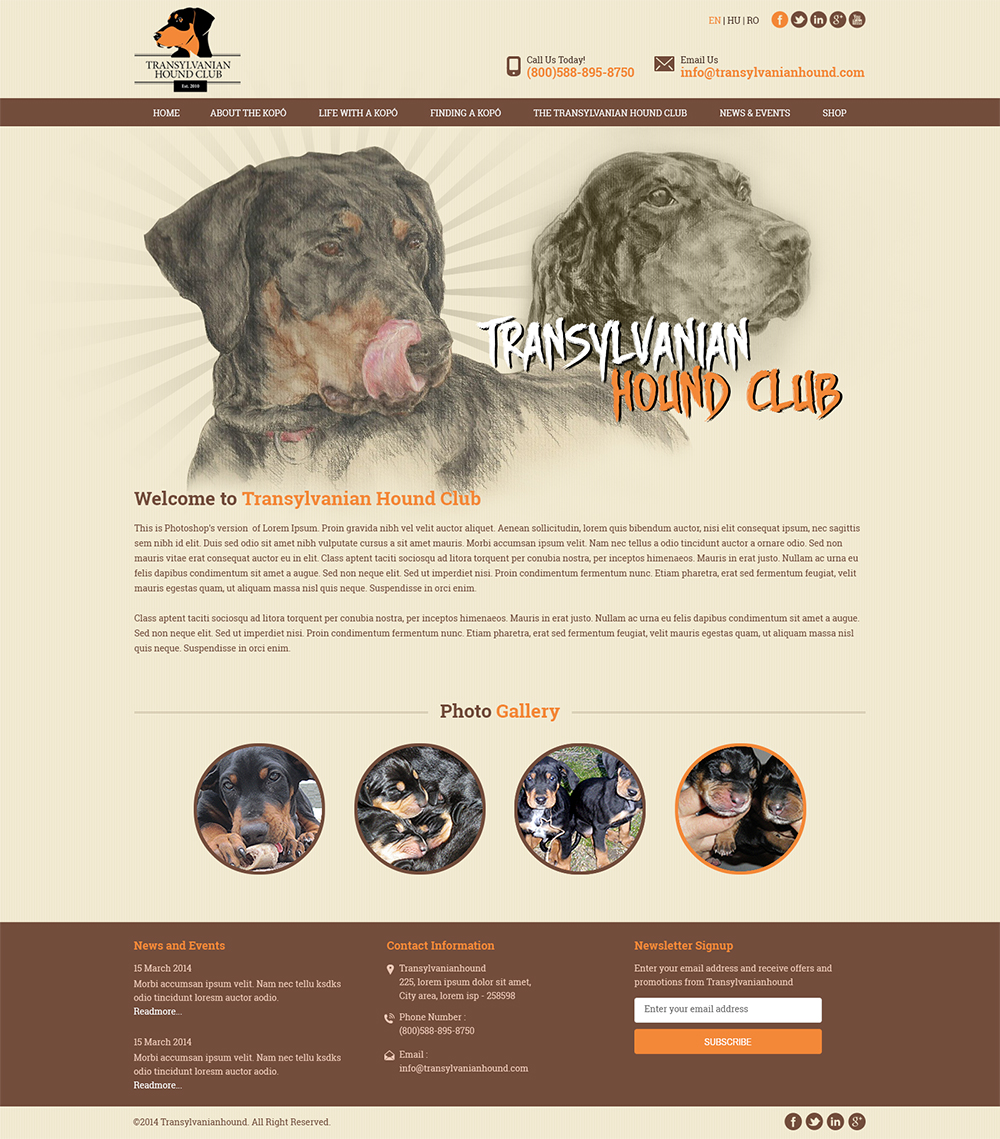 Web-Design von Mayank Patel für S.T.I.L. Consulting | Design #3765730