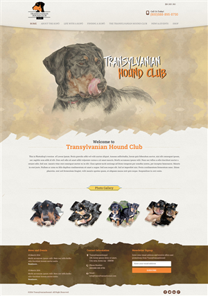 Web Design par Mayank Patel pour S.T.I.L. Consulting | Design #3765759