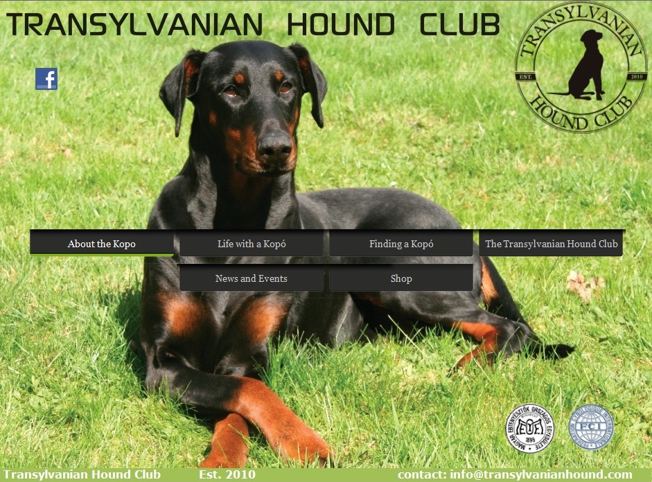 Web Design by Mathan Jawahar for S.T.I.L. Consulting | Design #3797763