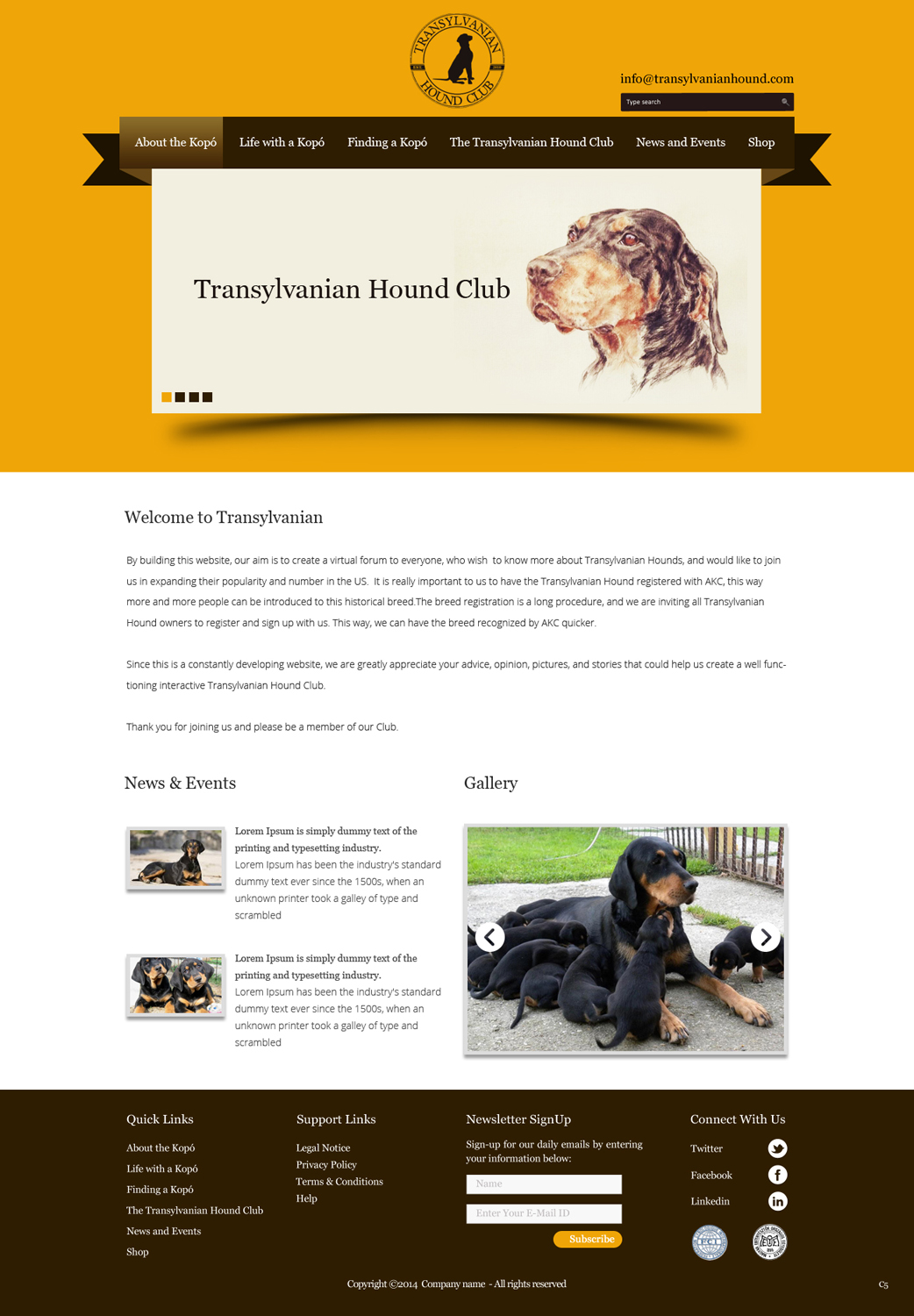 Web Design by pb for S.T.I.L. Consulting | Design #3548924