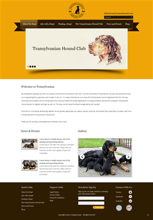 Web Design by pb for S.T.I.L. Consulting | Design: #3548924