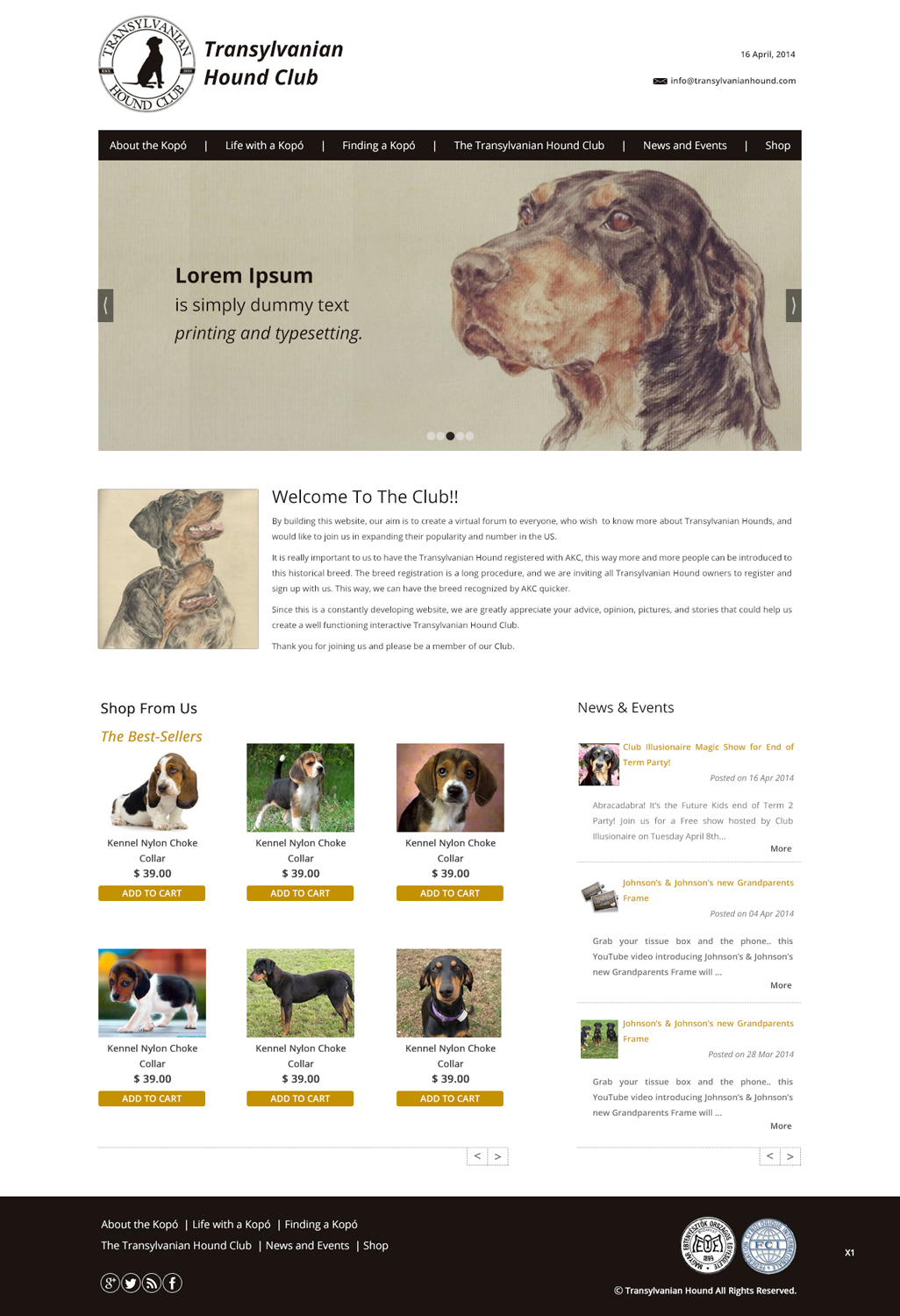 Web Design by pb for S.T.I.L. Consulting | Design #3548927